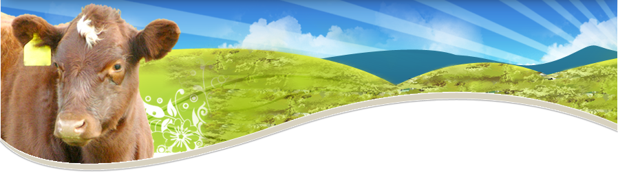 dsgn_1432_pic1.png