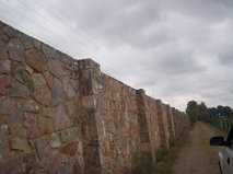 pic_4602.png